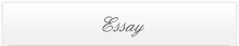 Essay