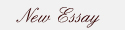New Essay